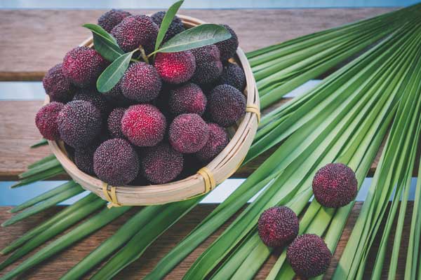 �����ڼ䲻�ܳ�ʲô ���Ե���ʳ����